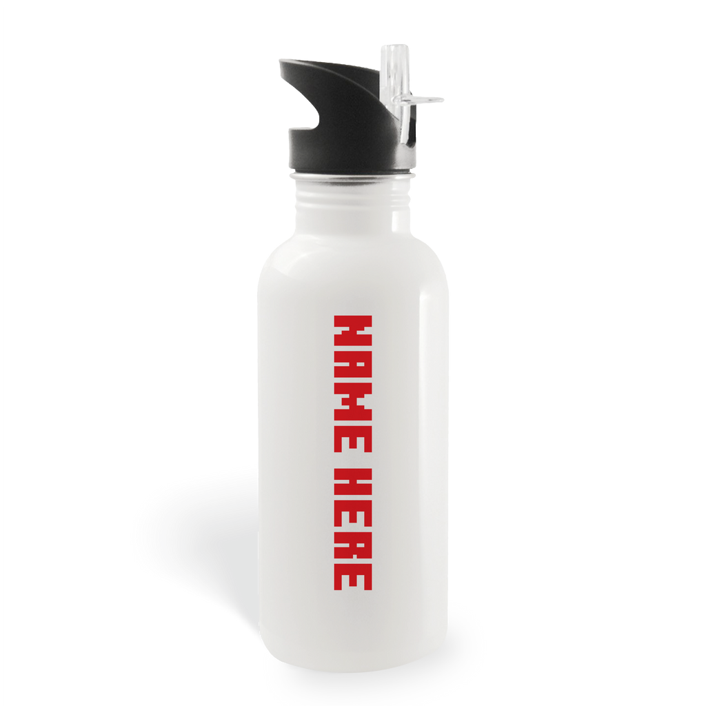 Minecraft Dungeons Unite, Fight, Survive Personalized 20 oz Screw Top Water Bottle with Straw