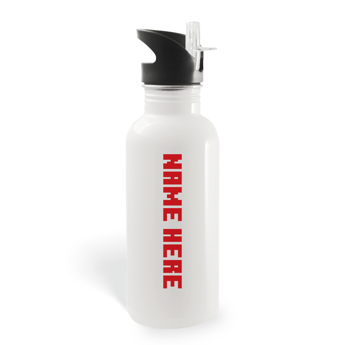 Minecraft Dungeons Unite, Fight, Survive Personalized 20 oz Screw Top Water Bottle with Straw