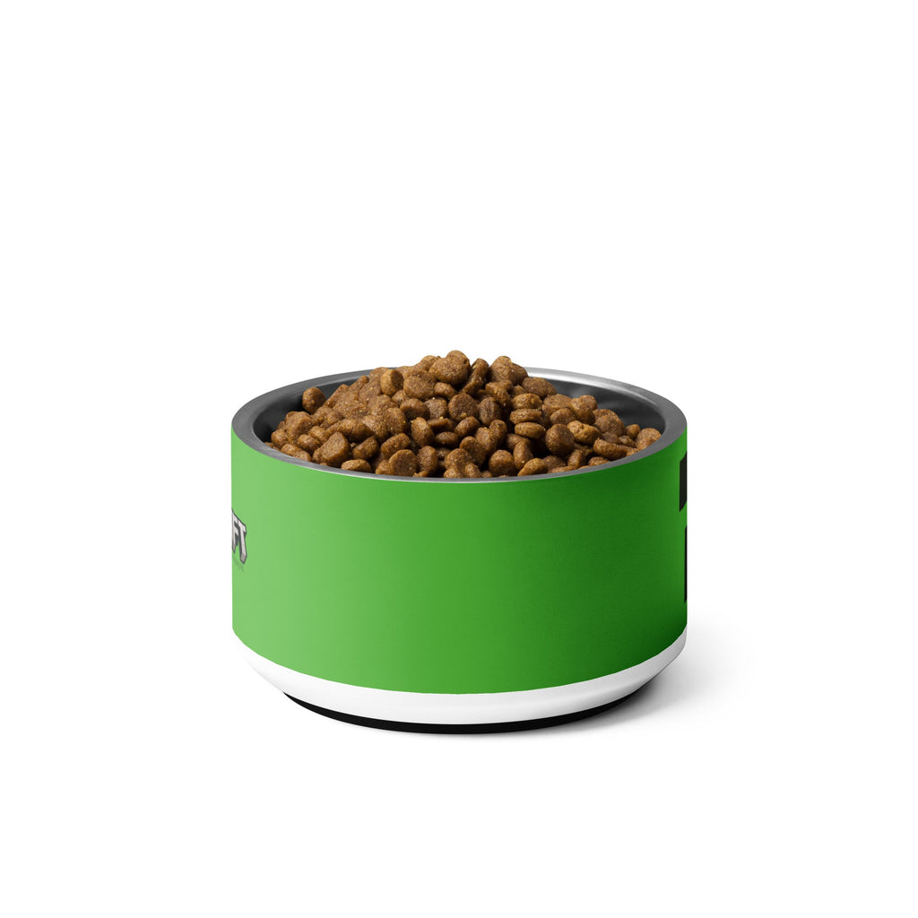 Minecraft Stainless Steel Pet Bowl Creeper