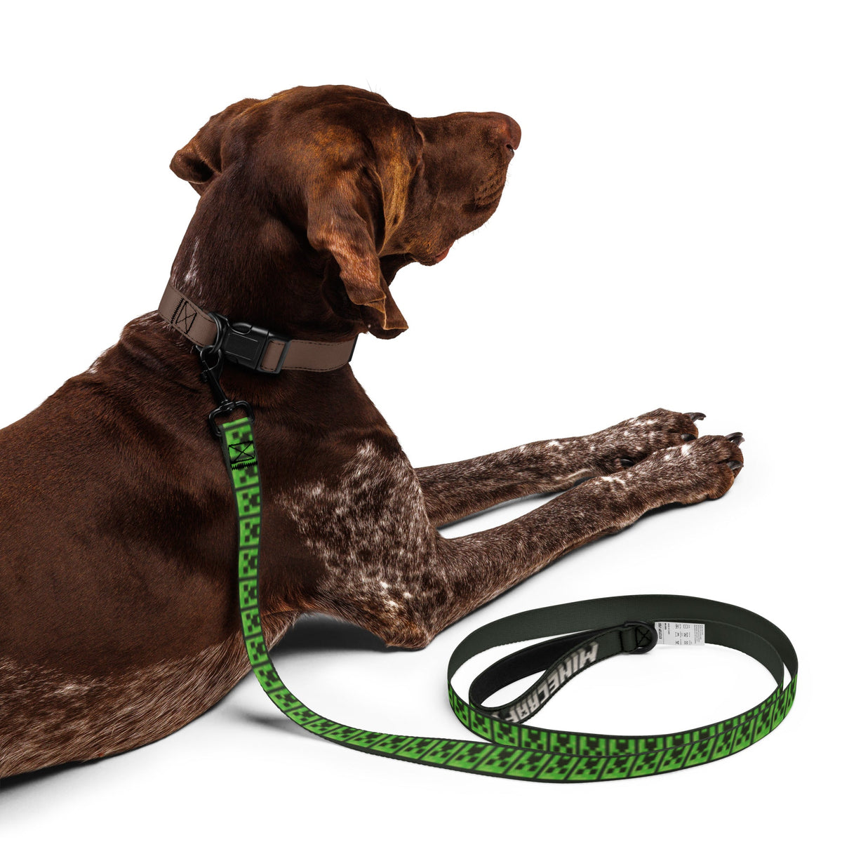 Minecraft Pet Leash Creeper