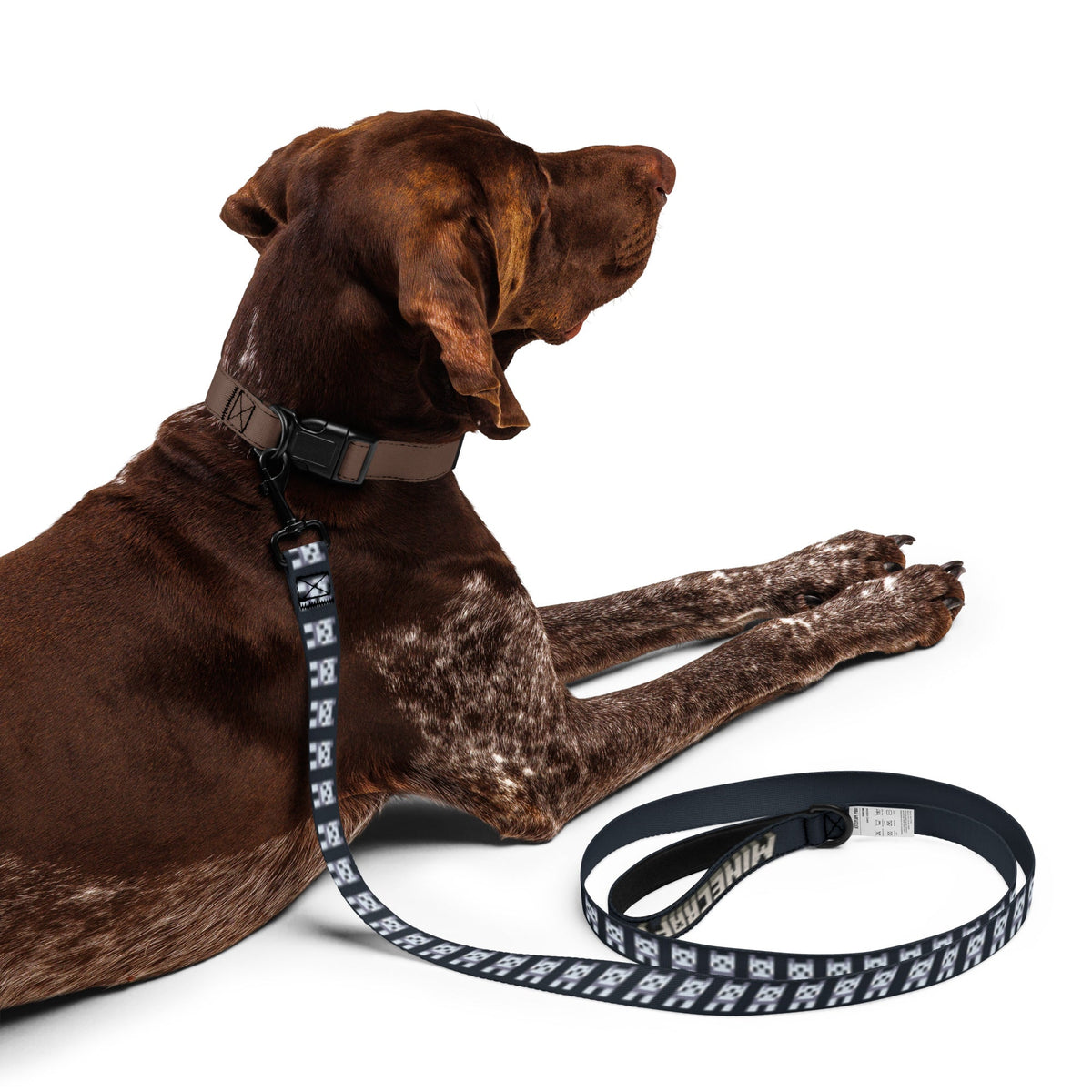Minecraft Pet Leash Wolf