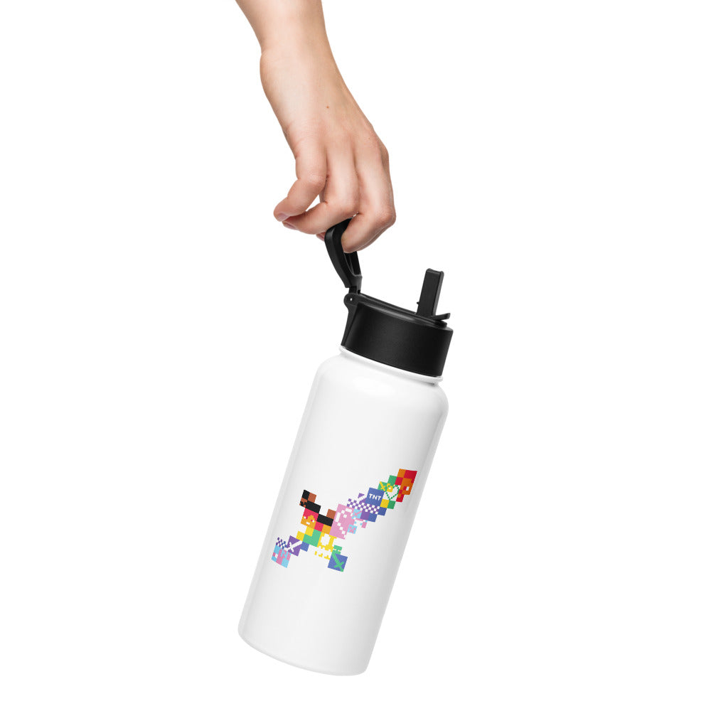 Minecraft Sword Pride Stainless Steel Water Bottle with a Straw Lid